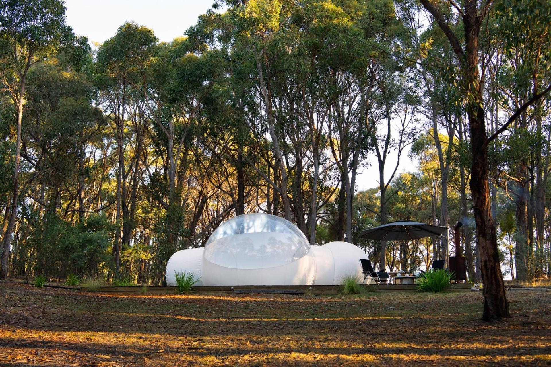 Eganstown Skyview Bubbletent מראה חיצוני תמונה